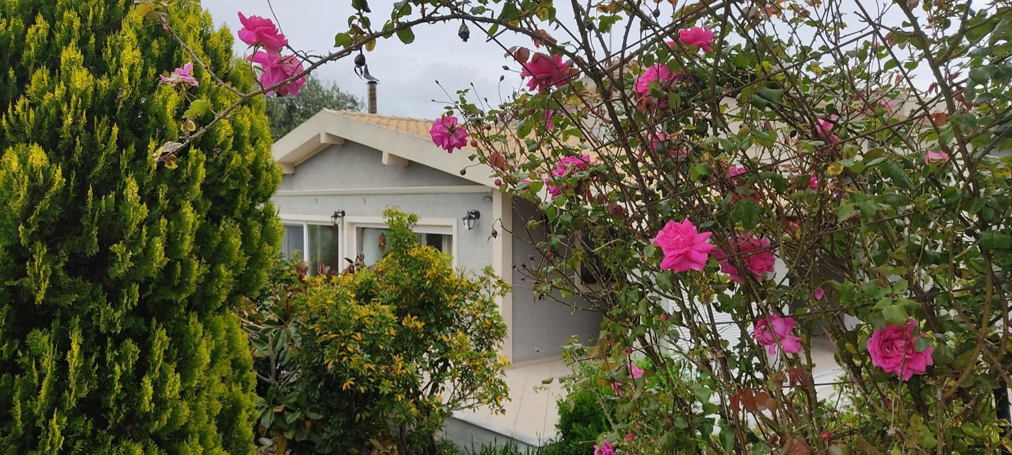 Villa Ewa Άγιος Γεώργιος Πάγων Εξωτερικό φωτογραφία